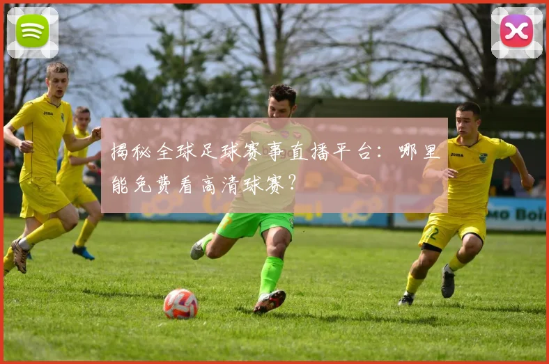 揭秘全球足球赛事直播平台：哪里能免费看高清球赛？